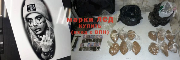 ECSTASY Михайловск