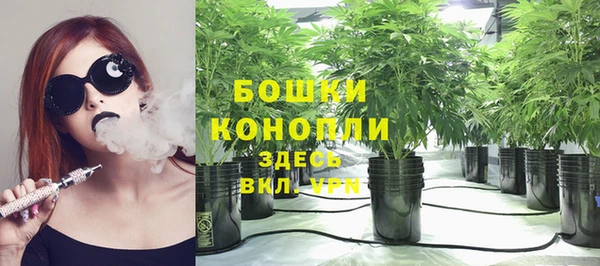 mdpv Горняк