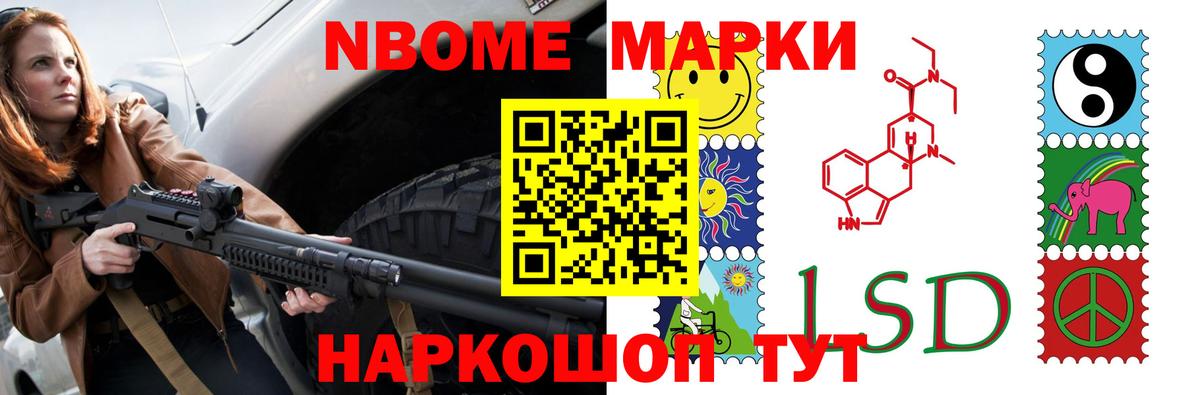 Псилоцибиновые грибы Гуково