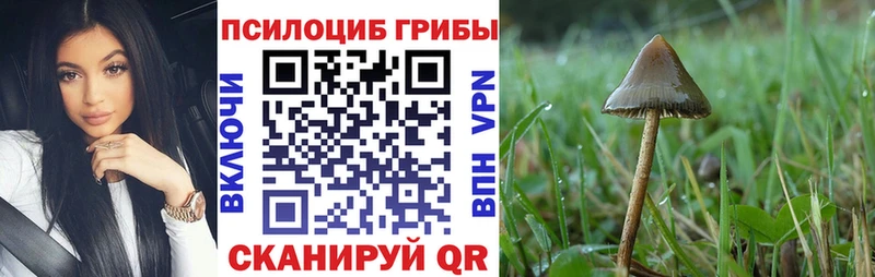 мега ТОР  Гуково  Галлюциногенные грибы Magic Shrooms 