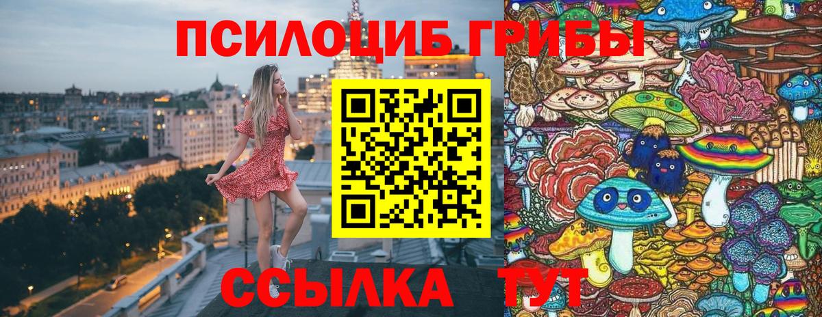 Псилоцибиновые грибы GOLDEN TEACHER Гуково