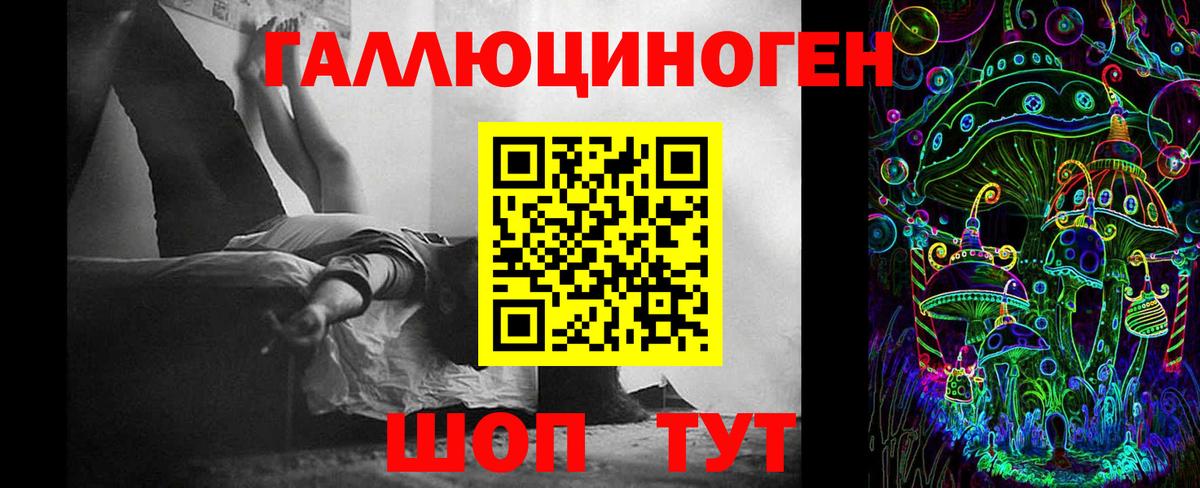 Псилоцибиновые грибы Cubensis  Гуково 