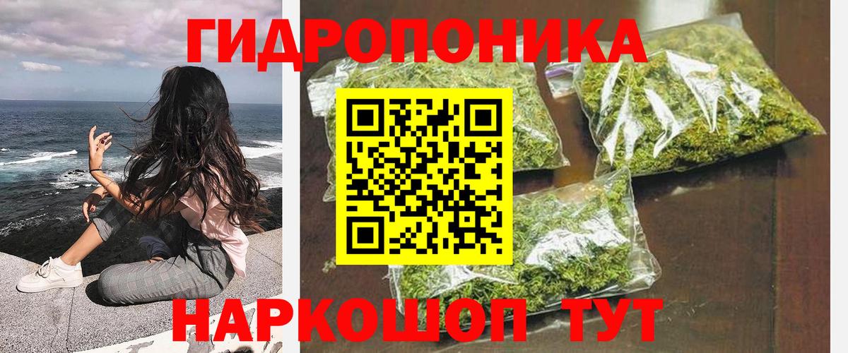 Шишки марихуана семена  Бошки марихуана OG Kush  Марихуана сатива  Шишки марихуана White Widow  Гуково 